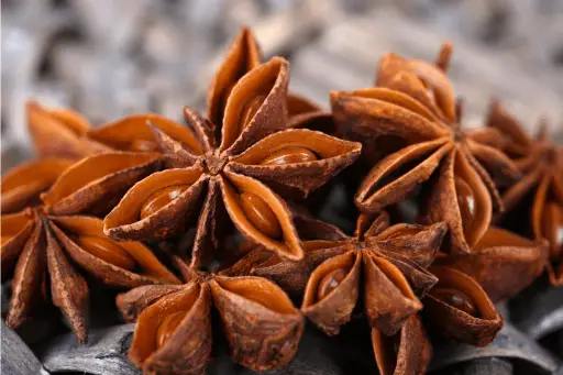 Anise dry fruits