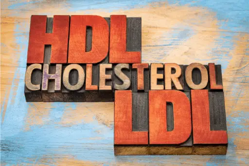 Types of cholesterol