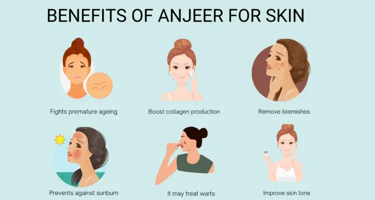 Benefits of  anjeer for skin
