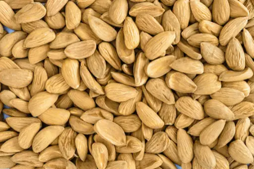 Raw mamra almonds