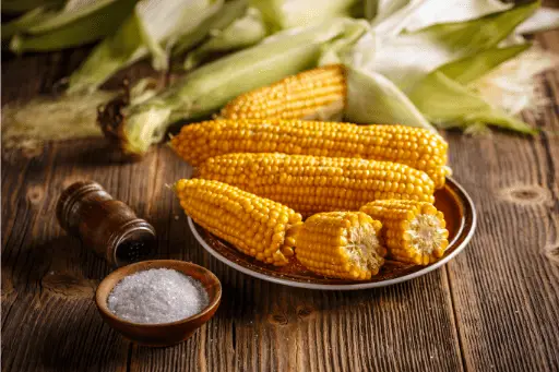 Boiled corn in plate