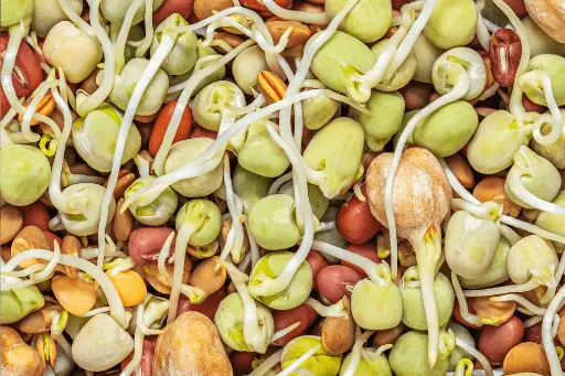 Moong sprouts - Cheap protein sources in India