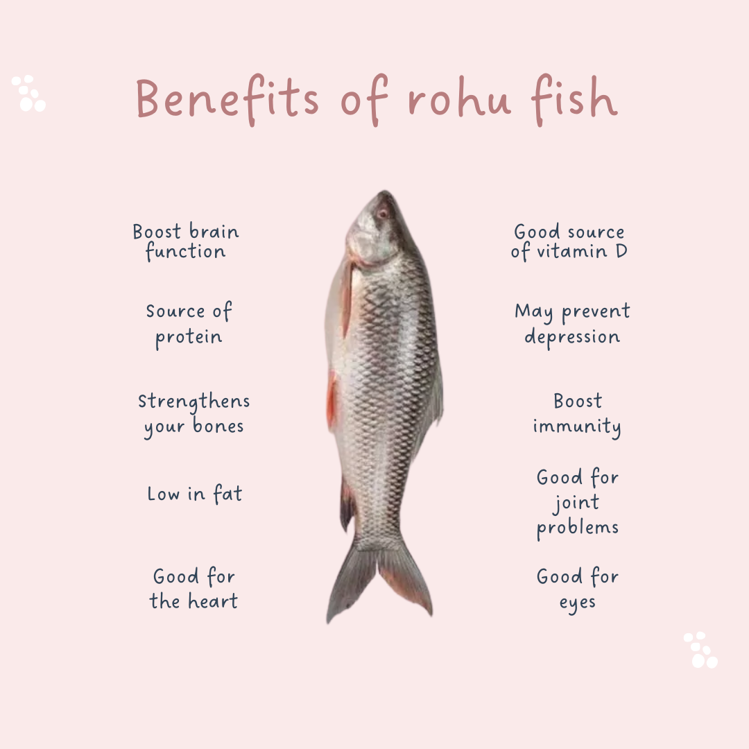 Benefits of rohu fish