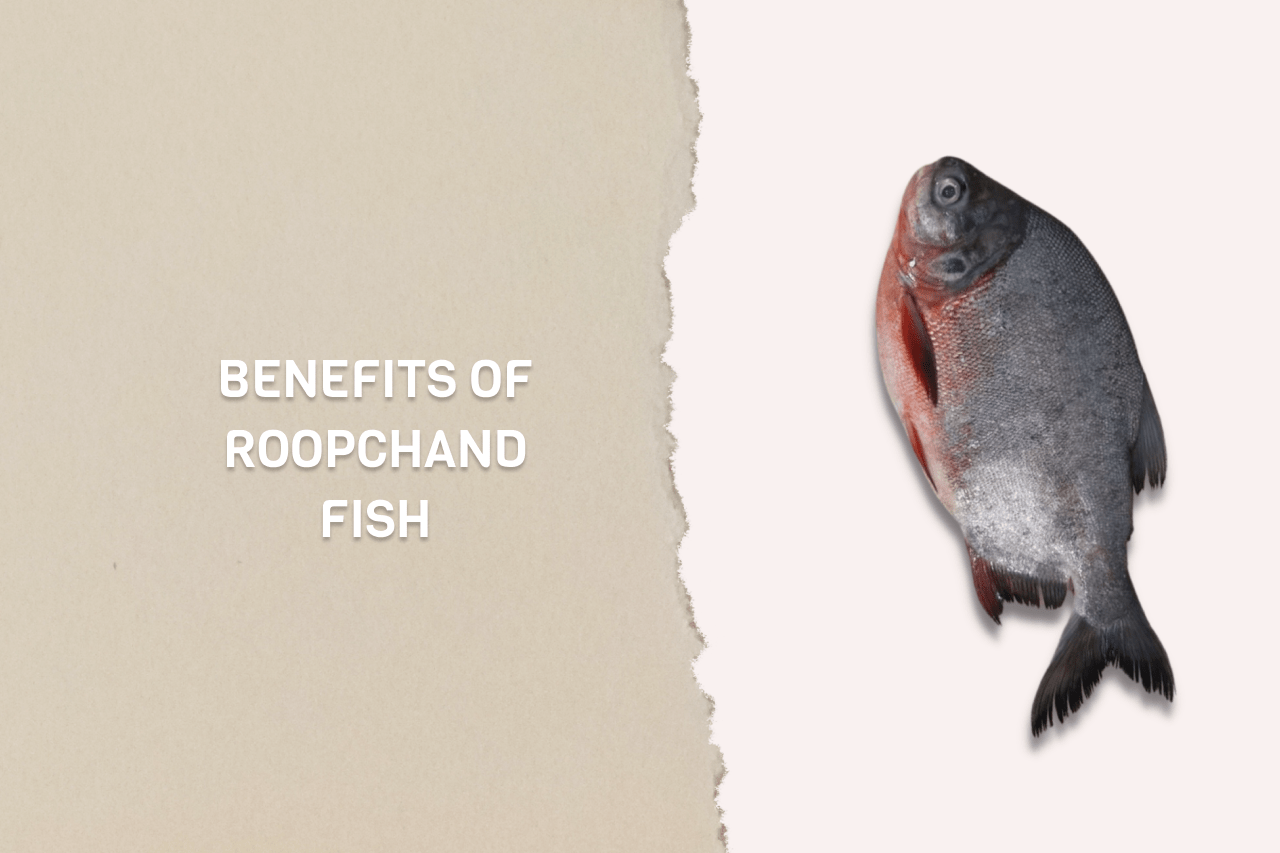 Benefits of roopchand fish